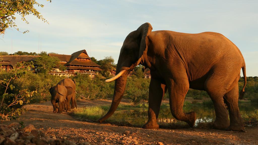 Victoria Falls Safari Suites Luaran gambar